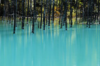 Blue Pond in Biei