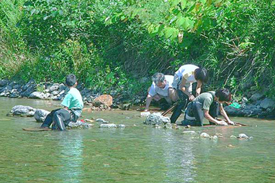 Usotannai Gold Dust Dig Park