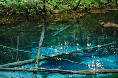 Kaminoko Ike Pond