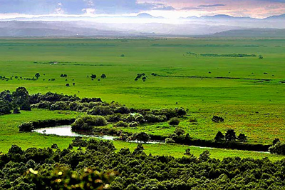 Kushiro Wetlands