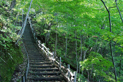 Tsubetsu Forest of the 21st Century