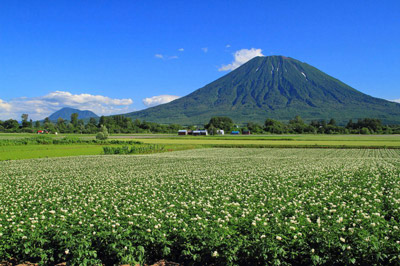 Mt. Yotei