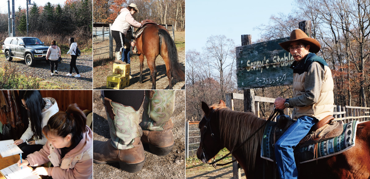 Sunny's Stable@M