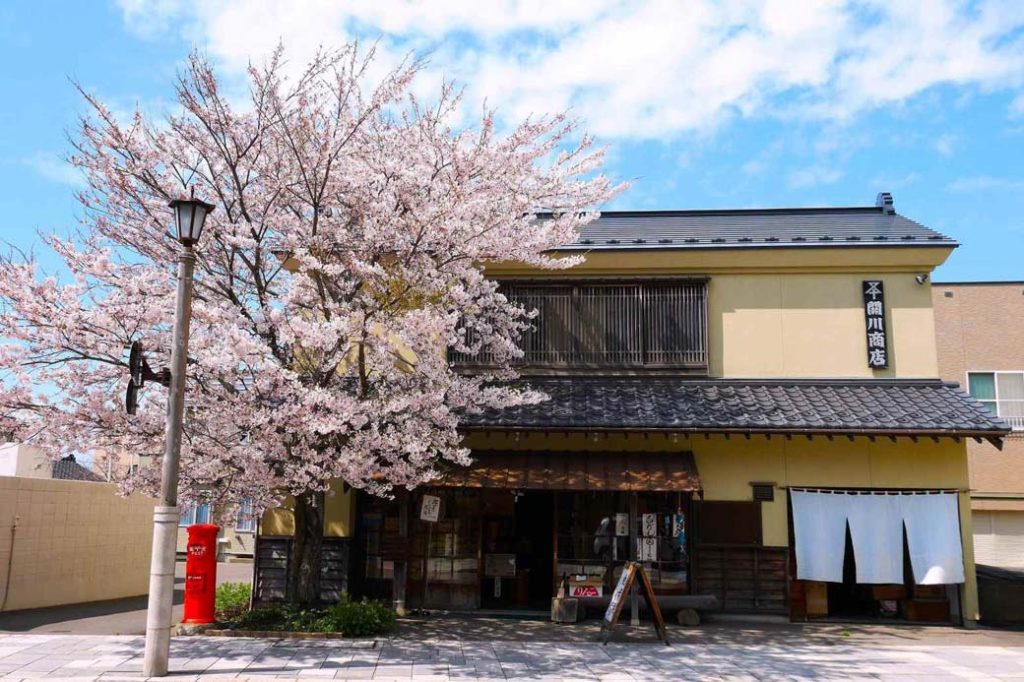 古街道：復原了明治初期，因北前船的鯡魚捕撈及其貿易，以及檜材貿易而繁榮起來的街景風貌。可以看到充滿著情趣和個性的街景風貌。