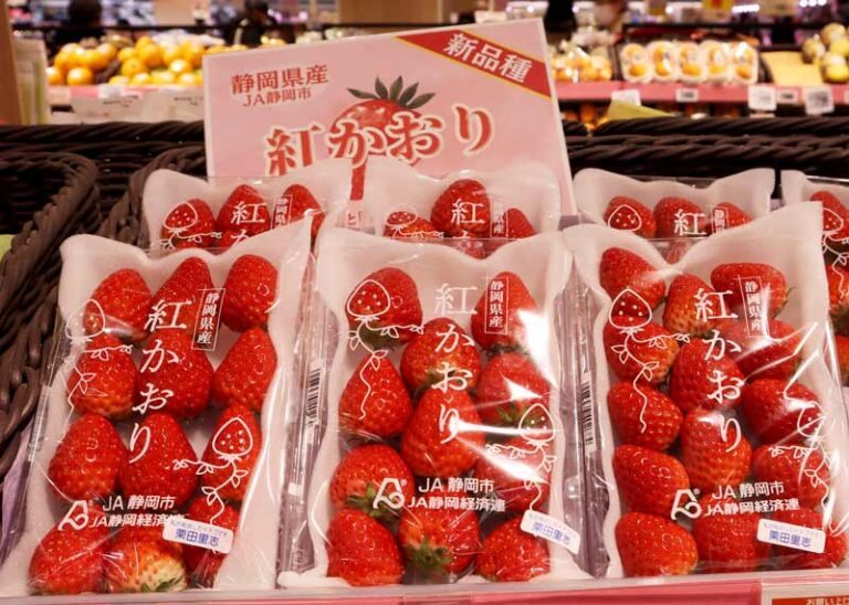 草莓