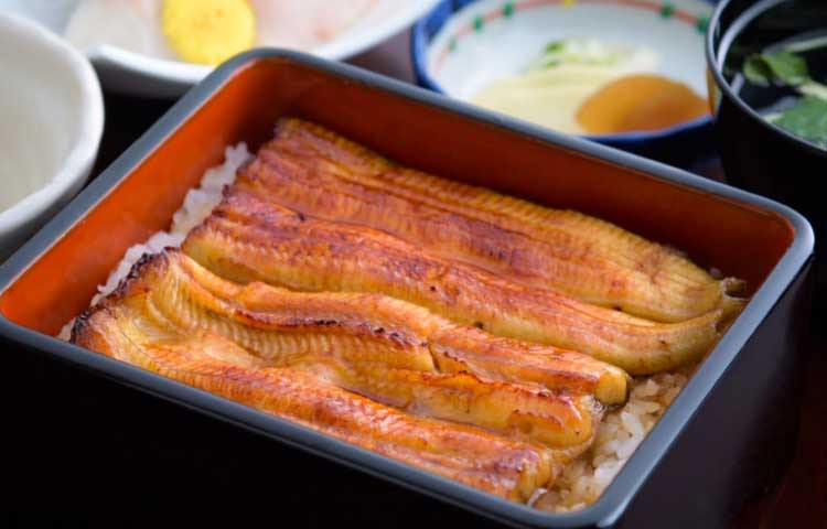 鳗鱼／宮川本廛