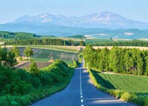 旭川觀光會議協會