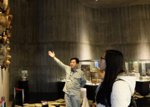 函館市繩文文化交流中心