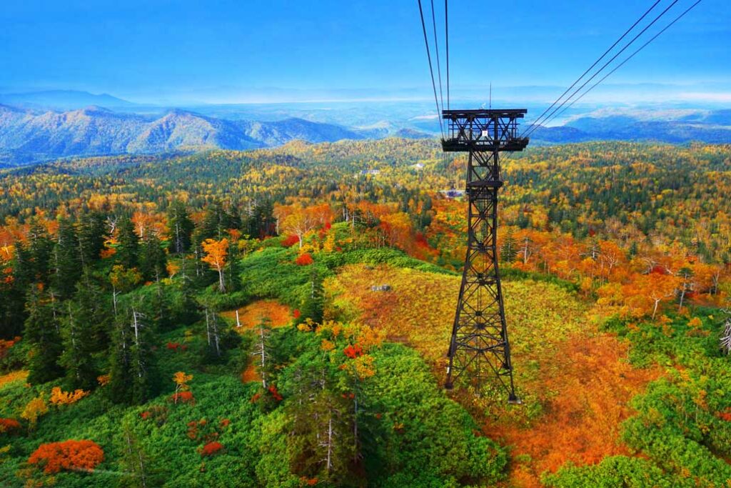 秋天 / 大雪山旭嶽的紅葉