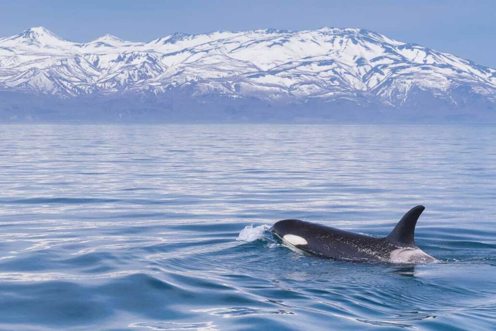 知床半島 / 道東圈