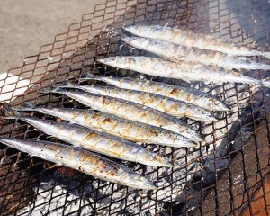 根室的秋刀魚