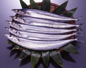 三文魚