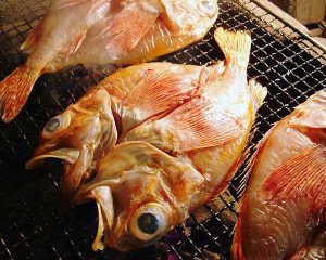 吉次魚